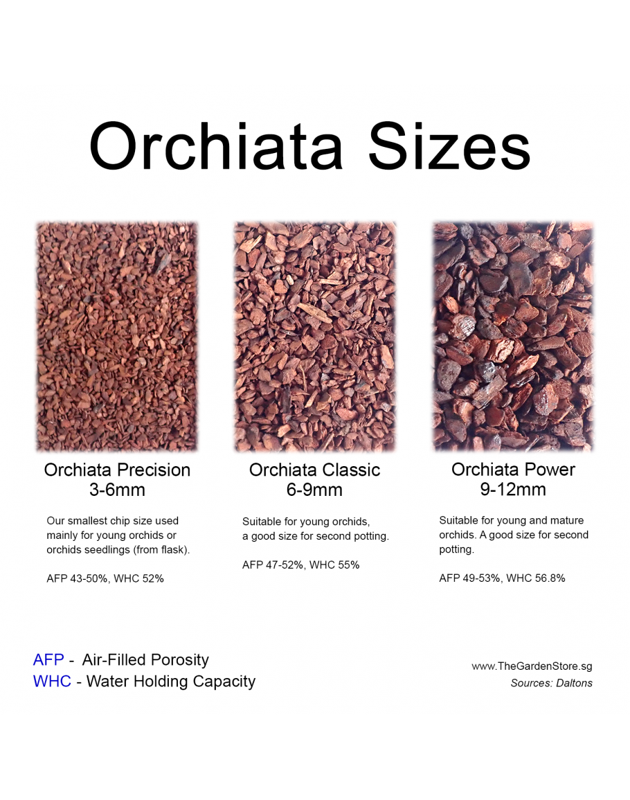 Orchiata deals